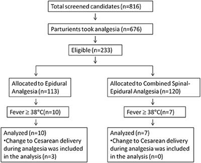 Combined spinal-epidural analgesia and epidural analgesia induced maternal fever with a similar timing during labor-A randomized controlled clinical trial